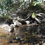 Unión del río Xuliana con el Miño