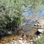 Unión del río Xuliana con el Miño