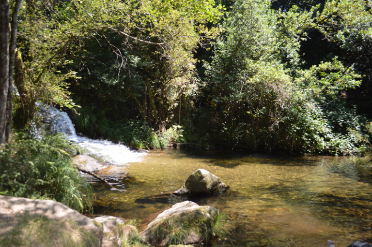 Poza de Maimón