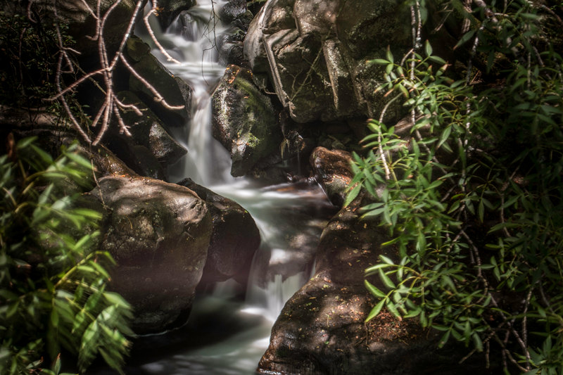 Fervenza de Fondós